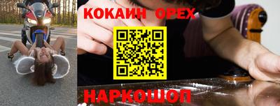 Альфа ПВП Кандалакша