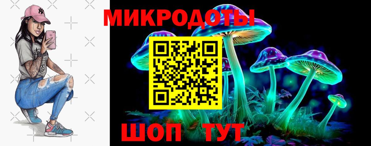 Тихорецк  Псилоцибиновые грибы Psilocybine cubensis  Вход с VPN 